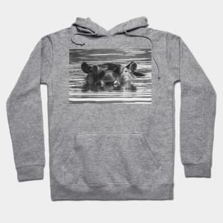 Treacherous Waters Hoodie